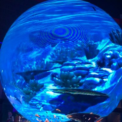 alminlaya's profile picture. 