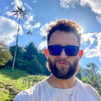 Pablo L (@palg1305) 's Twitter Profile