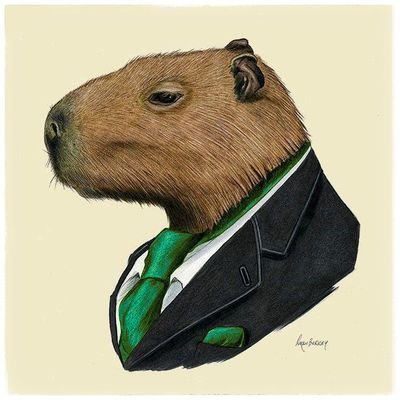 Leo_Bitcoin Profile Picture