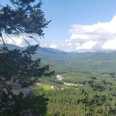 cmelaughn1's profile picture. 