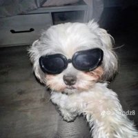 ♈️ (@marianasp25) 's Twitter Profile