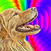 The Real Lee (@detroitlee65) 's Twitter Profile