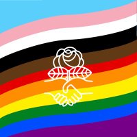 DSA Queer Socialists Working Group (@dsaqueer) 's Twitter Profile