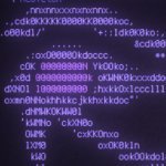 gcc ofast (@gccofast) 's Twitter Profile