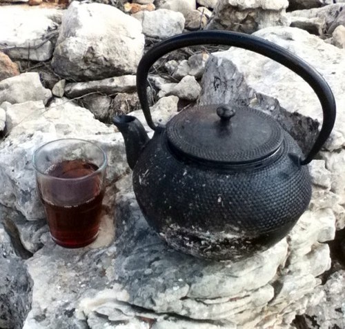 LoaiTann's profile picture. 