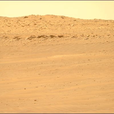 rodrigom_qro's profile picture. 