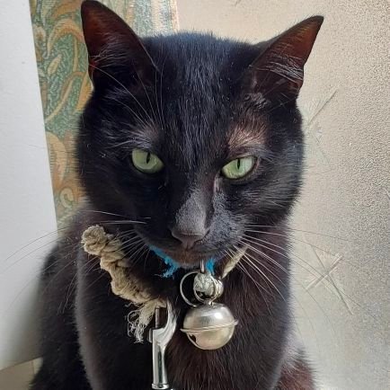 eiko1030258's profile picture. 前のTwitter使えなくなったので、新しく初めました。よろしくお願いします。フォローしてね。歌を広めていく、歌い手です。🥰✨
綺麗な景色、お花、動物好き❤音楽大好きです。🥰アイドル大好き😄💖家庭連合2世です。