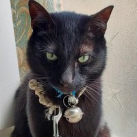 英ちゃん (@eiko1030258) Twitter profile photo