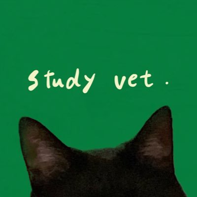 studying__vet Profile Picture