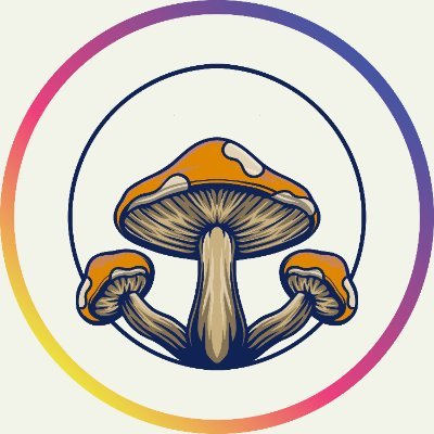 megamushroomltd's profile picture. Mega Mushroom Limited is a company that offers smart automation solutions, Software and IT services.