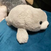 みーこ☺︎ (@miko_07000) Twitter profile photo