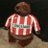 FCSONHOOENDAN's profile image