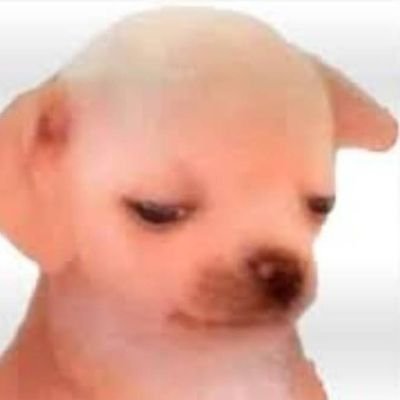 kao_jtc's profile picture. e