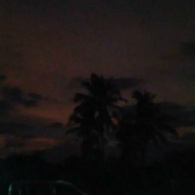 MayGacer53645's profile picture. 