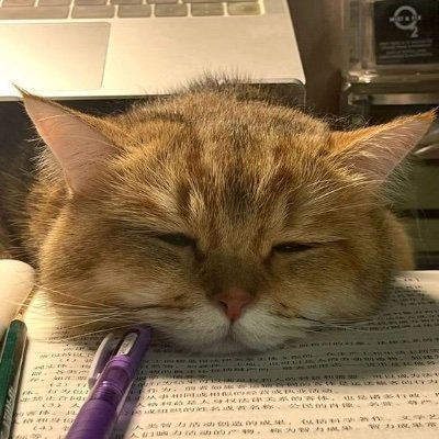 kittyzuzu7's profile picture. alhamdulillah 🤍
سبحان الله وبحمده سبحان الله العظيم