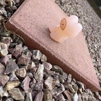 あまなつ🍊 (@magazine_o0) 's Twitter Profile