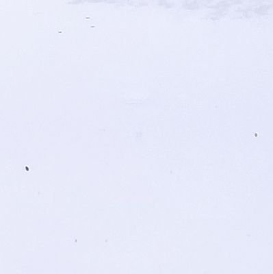 AnthoUmo's profile picture. Hi