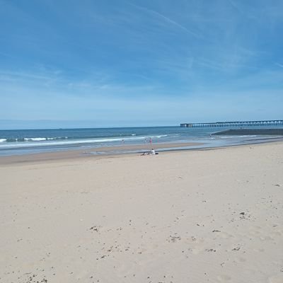 fossrocket's profile picture. 