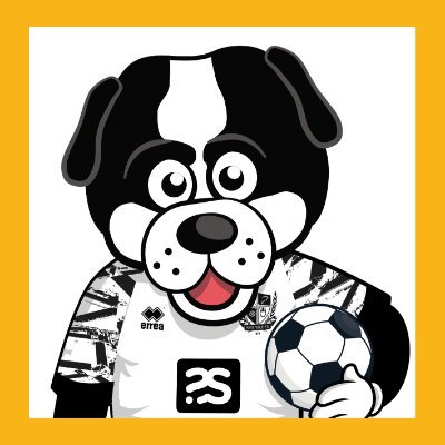 The official page of Port Vale Football Club’s mascot - Boomer! #BoomerK9 @OfficialPVFC @PVFCFoundation