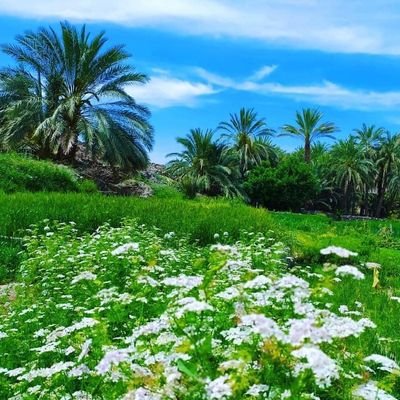 صفایی ندارد ارسطو شدن 
خوشاپرکشیدن پرستو شدن