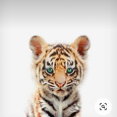 harutorako's profile picture. 👩アラサーゆる会社員 👶2022年5月生まれ女の子　知育 関西 無言フォロー失礼します🙏