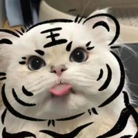 (💙,🧡) (🌸, 🌿) 🛸🛡️ 🏴🫡🐐❤️ (@ayui46380475) 's Twitter Profile