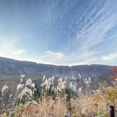 mainitiseityou's profile picture. アウトプット