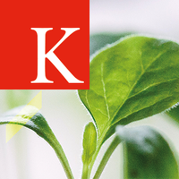 KCL Net Zero Centre(@KCLNetZero) 's Twitter Profile Photo