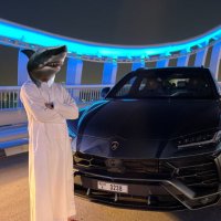 Web $quale 🦈 (@web_squ4le) 's Twitter Profile