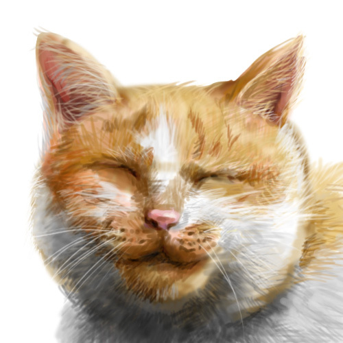 powapowa1's profile picture. よろしくね