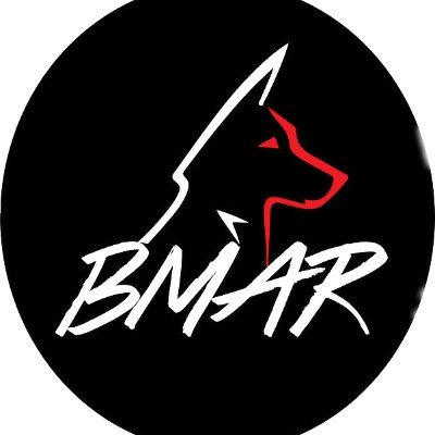 BMAR is a 501(c)3 non-profit that rescues large breed dogs! BMAR is NO-Kill and LOVES dogs.😍donate here: https://t.co/tKEjRV5mrE