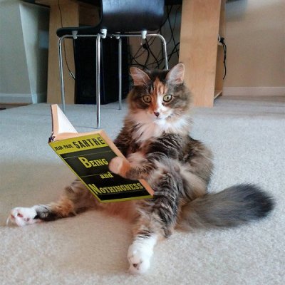 BiscuitsCatnip's profile picture. Veterinary Doctor