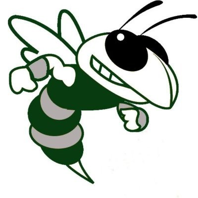 Official account for the Mansfield High School Varsity Hockey Team (parent run, coach approved).
