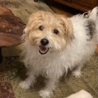 Karen Russell ❤️🇺🇸🇮🇱🇬🇧 (@karenru15583990) 's Twitter Profile Photo Karen Russell ❤️🇺🇸🇮🇱🇬🇧 (@karenru15583990) 's Twitter Profile Photo