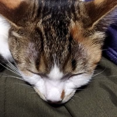 eroa_ka1213's profile picture. 