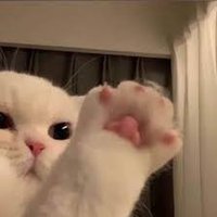 ♡ྀི (@nsblossoms) 's Twitter Profile Photo ♡ྀི (@nsblossoms) 's Twitter Profile Photo