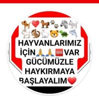 NEDEN PETSHOPLAR KASAPLAR ODASINA BAĞLANDI (@merve58344771) Twitter profile photo