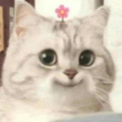 convrsz's profile picture. Just content