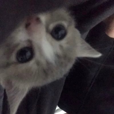 alecazrod's profile picture. 