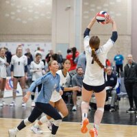 Alyssa Nelson (@nelsonalyssa7) 's Twitter Profile