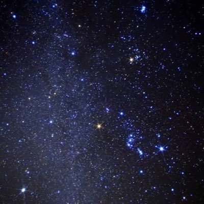 hrky_tutu's profile picture. 🐥👑／フォロリク停止