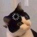 lyk (@soshiiiii0805) Twitter profile photo lyk (@soshiiiii0805) Twitter profile photo