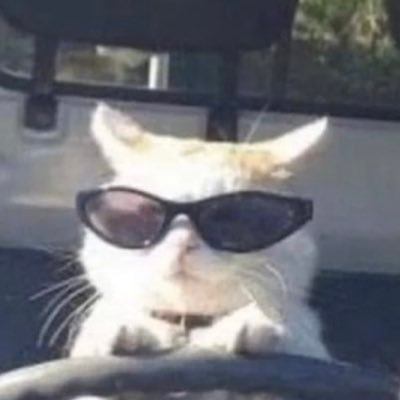 maryofthestreet's profile picture. 