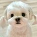 ˳·˖ᴵᵐ✶‧͙⁺มัดแกละของธนนท์‧͙⁺✦ (@im_mytanont) Twitter profile photo ˳·˖ᴵᵐ✶‧͙⁺มัดแกละของธนนท์‧͙⁺✦ (@im_mytanont) Twitter profile photo