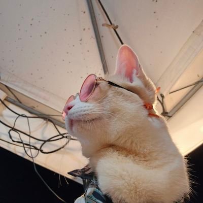 ccrvr23's profile picture. 