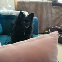 theodore (@theodoretlc) 's Twitter Profile