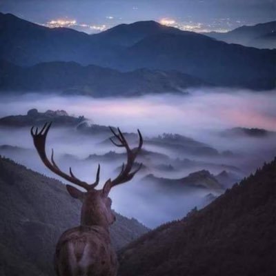 only1BinnyHana's profile picture. “The man who thinks he can and the man who thinks he cannot are both right.” — Confucius