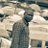 Lukman Abolade