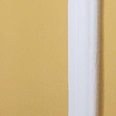 移行さんのプロフィール画像