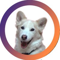 Taison TV (@taisontv) 's Twitter Profile